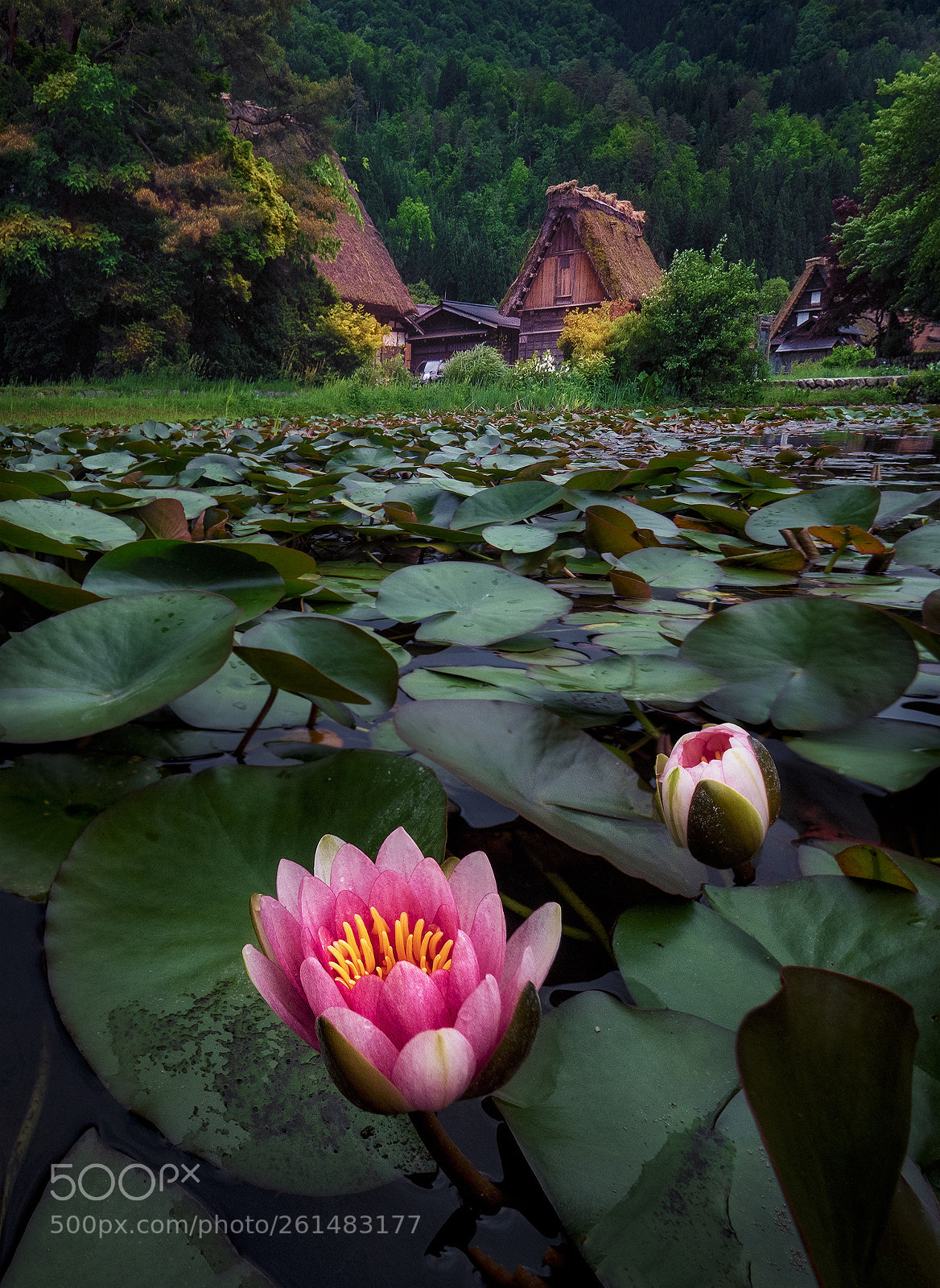 Olympus OM-D E-M1 Mark II sample photo. Shirakawa-go photography