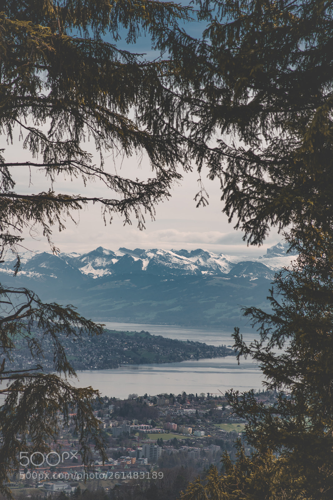 Nikon D3300 sample photo. Hiking uetliberg photography