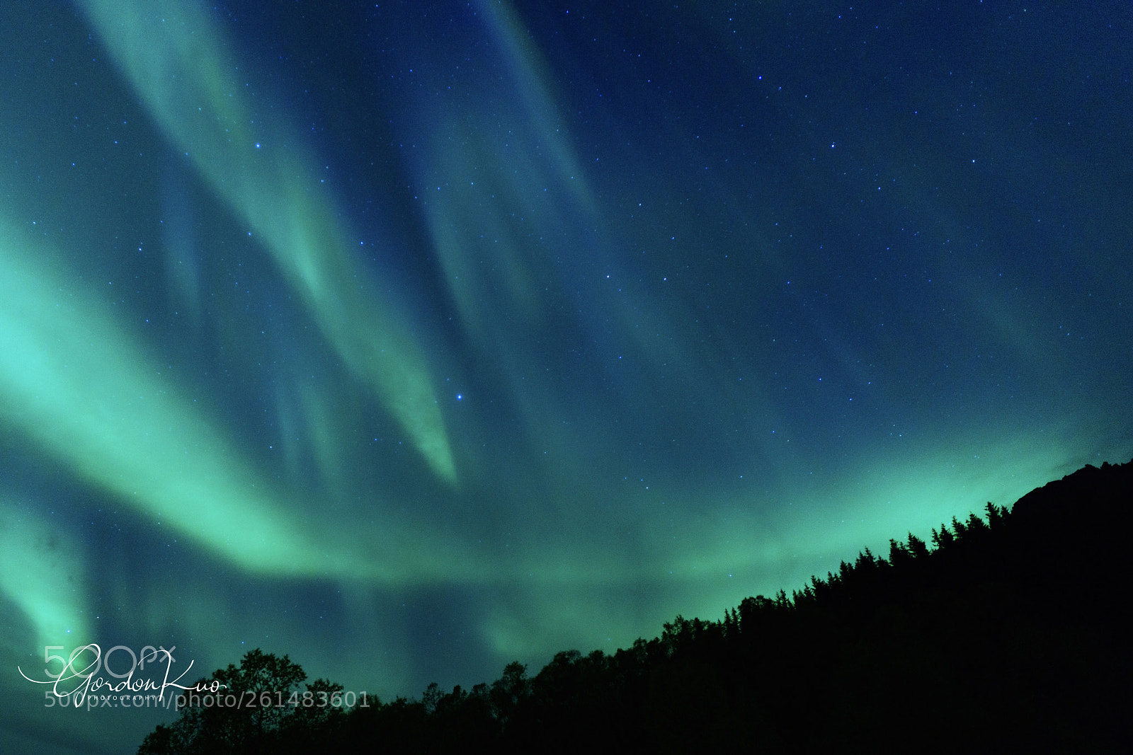 Sony a7R II sample photo. Green light, falls on photography
