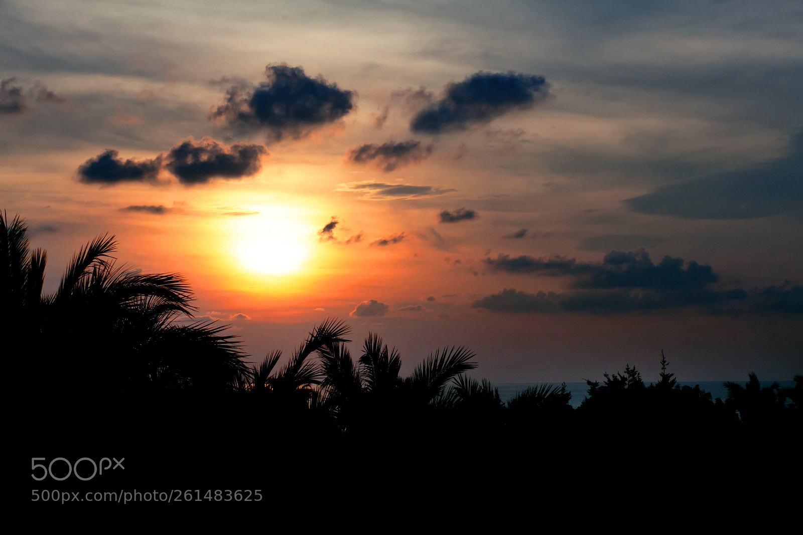 Canon EOS 5D Mark II sample photo. Sun photography