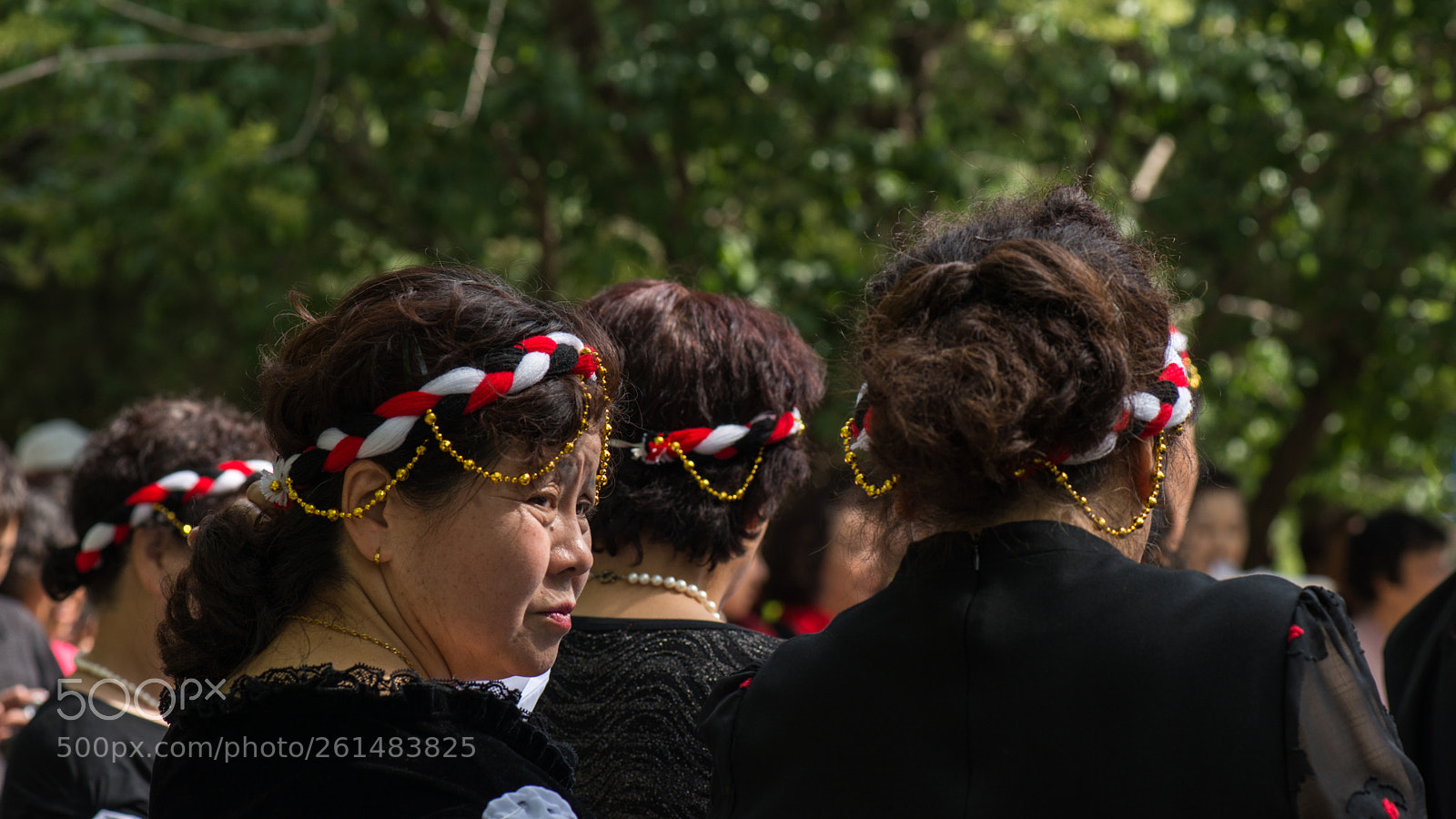 Nikon D800E sample photo. Geriatric choir photography