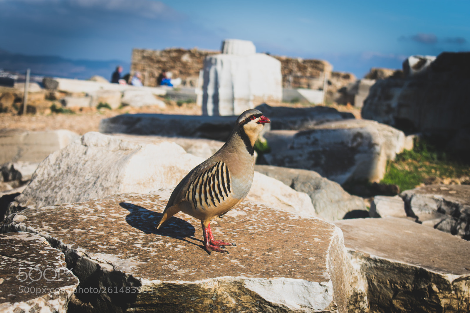 Nikon D3400 sample photo. Temple of poseidon photography