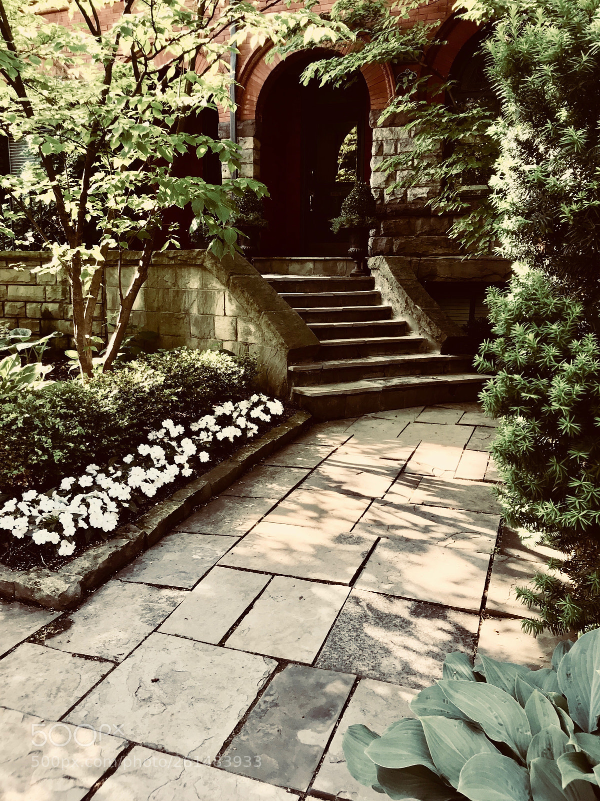 Apple iPhone 7 sample photo. The neighbour photography