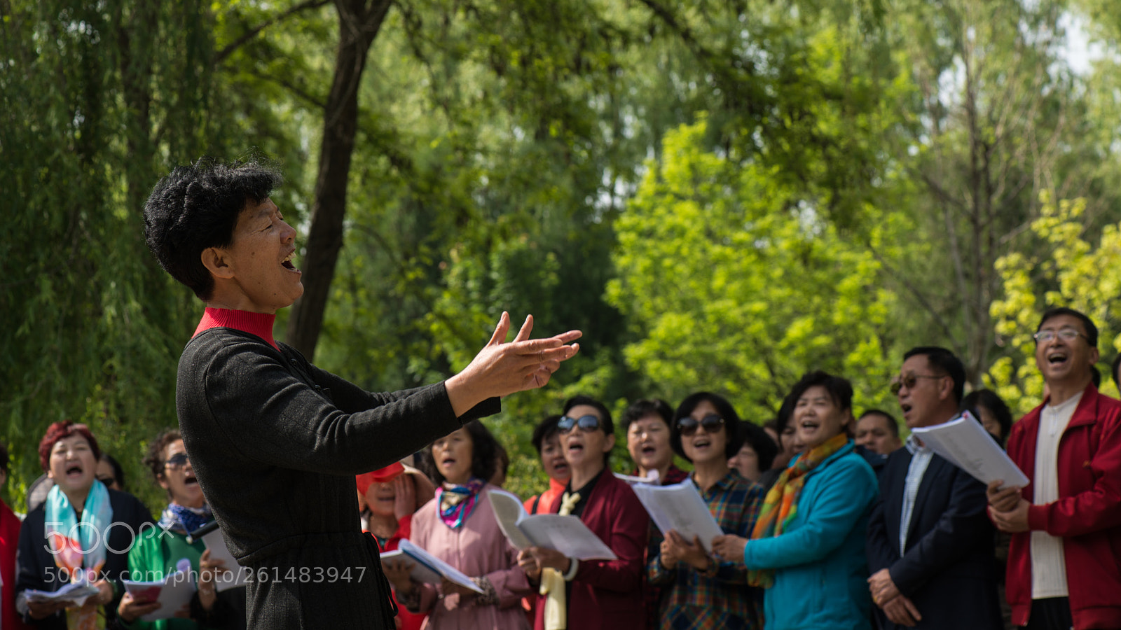 Nikon D800E sample photo. Geriatric choir photography