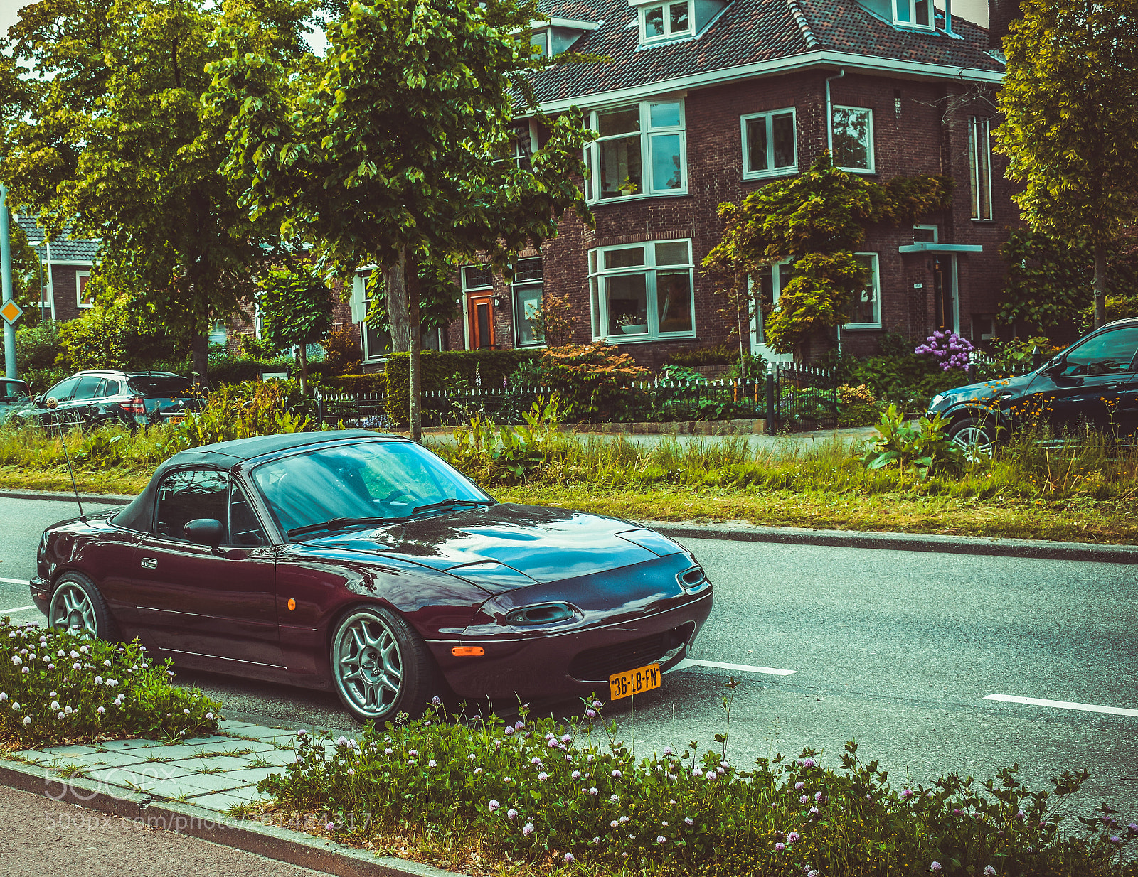 Nikon D5300 sample photo. Untitled photography
