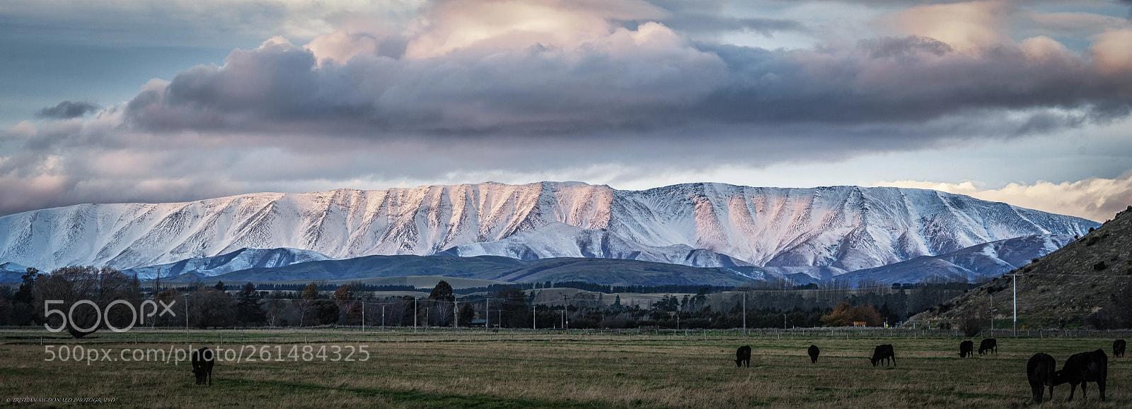 Nikon D750 sample photo. St bathans rangs photography