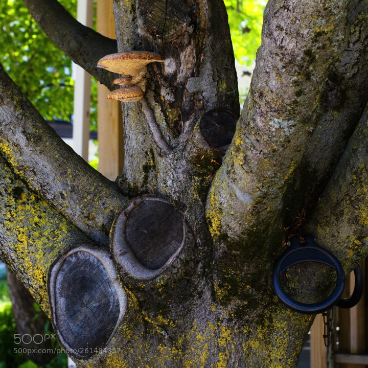Canon EOS 7D sample photo. Shapes photography