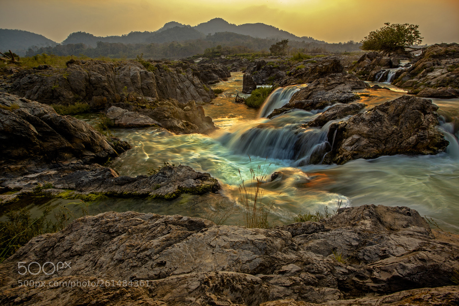 Canon EOS 5D Mark II sample photo. Si phan don photography