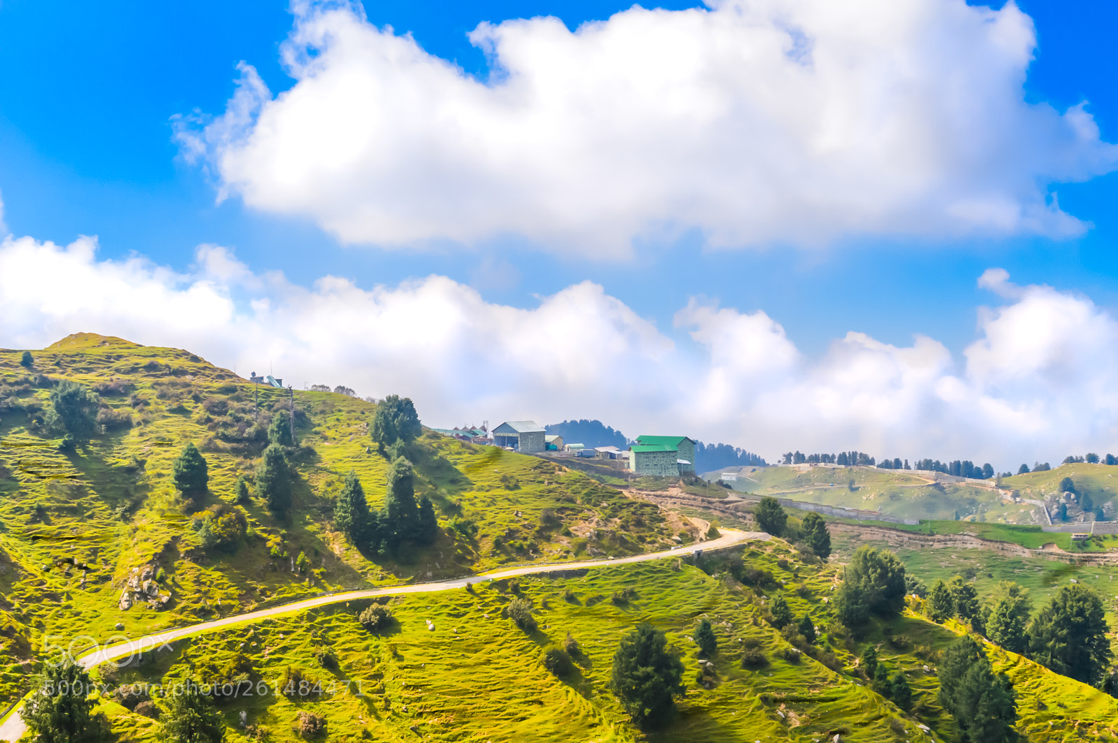 Nikon D3200 sample photo. Step farm growing beautiful photography