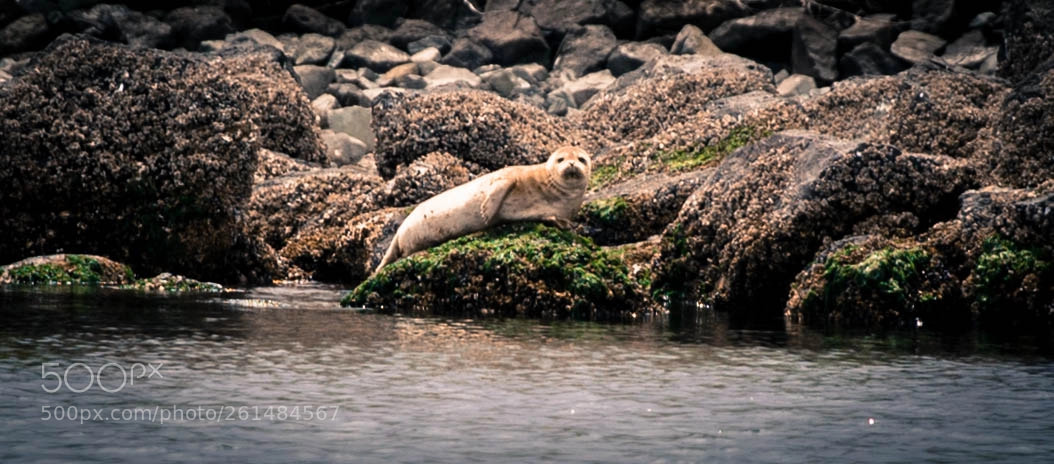 Canon EOS 6D sample photo. Tranquil photography