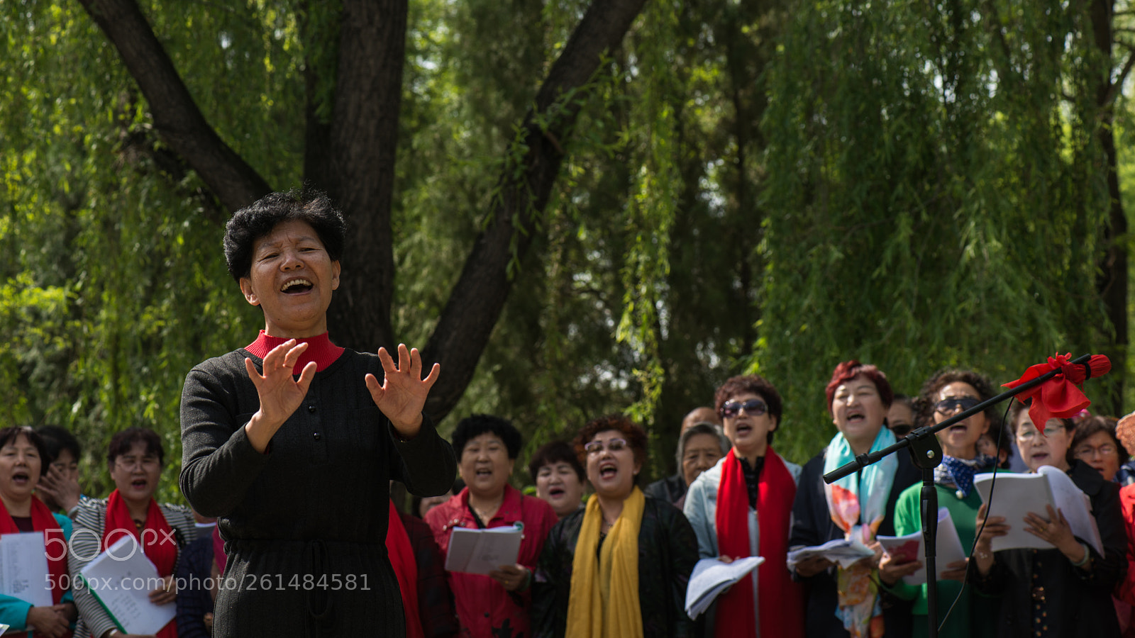 Nikon D800E sample photo. Geriatric choir photography