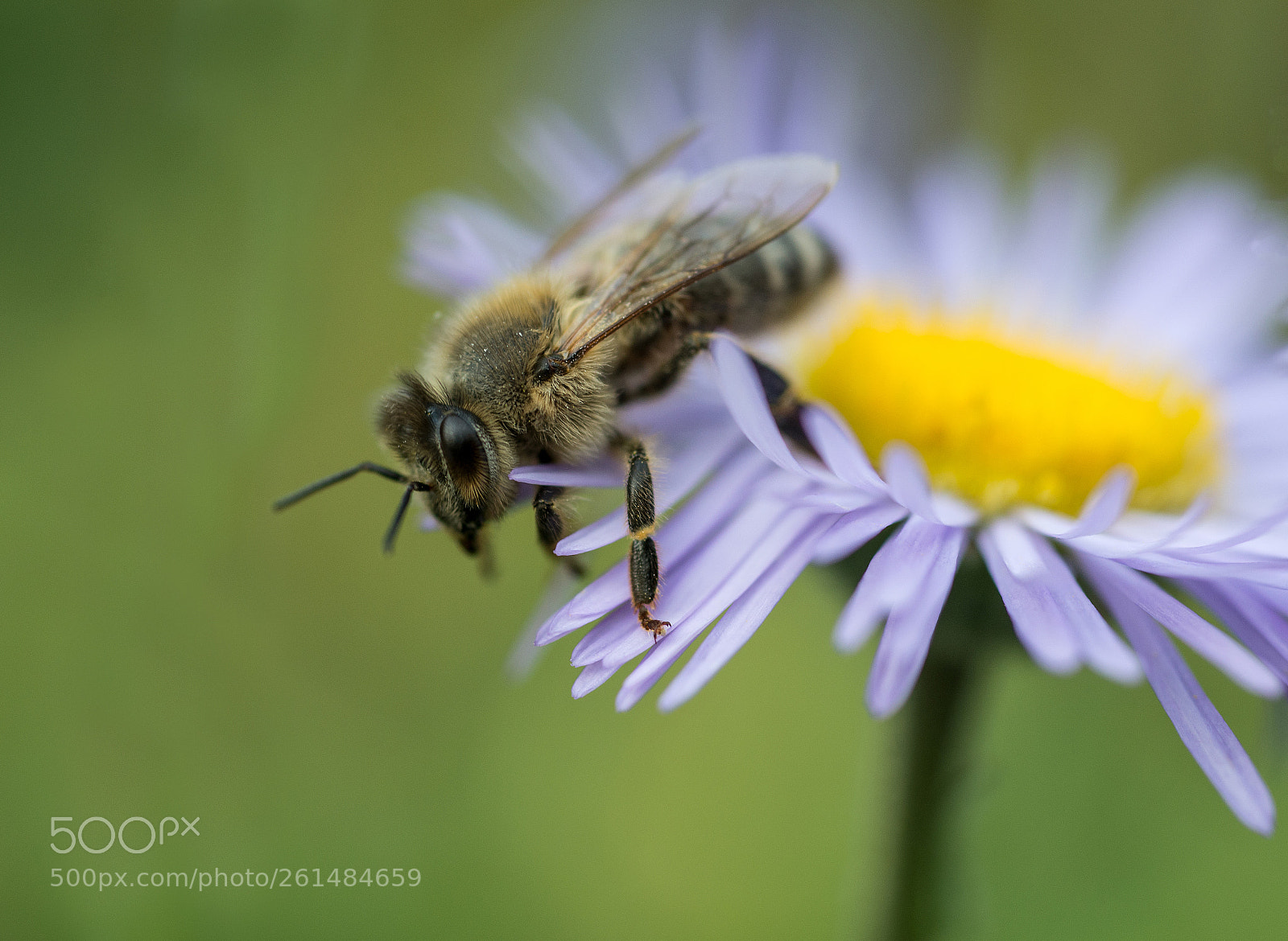 Nikon D600 sample photo. Ready to take off photography