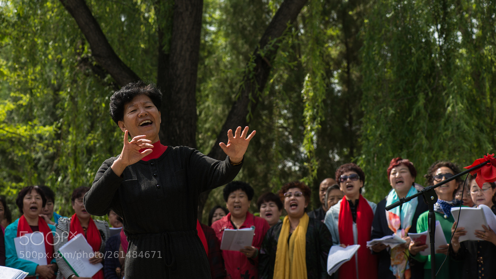 Nikon D800E sample photo. Geriatric choir photography