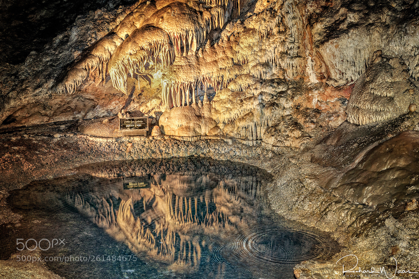 Canon EOS-1D X sample photo. Reflections in lake mirror photography