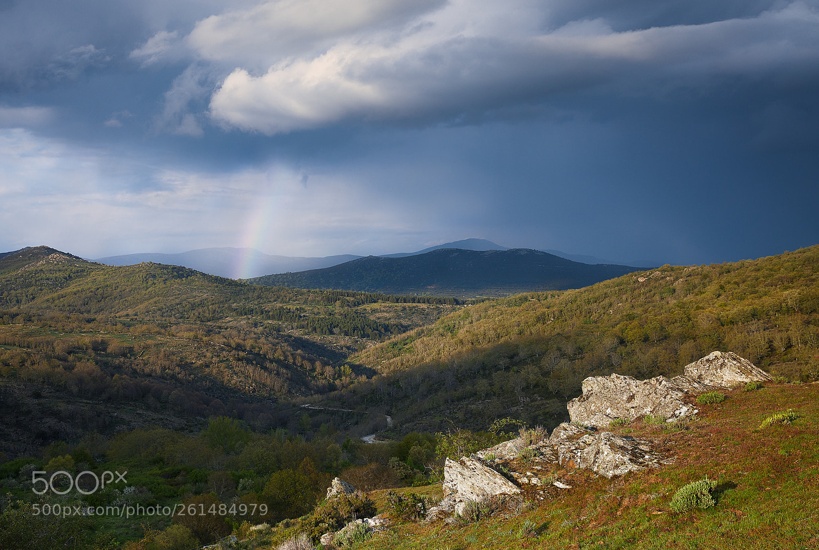 Canon EOS 5D Mark IV sample photo. Valle del jarama photography