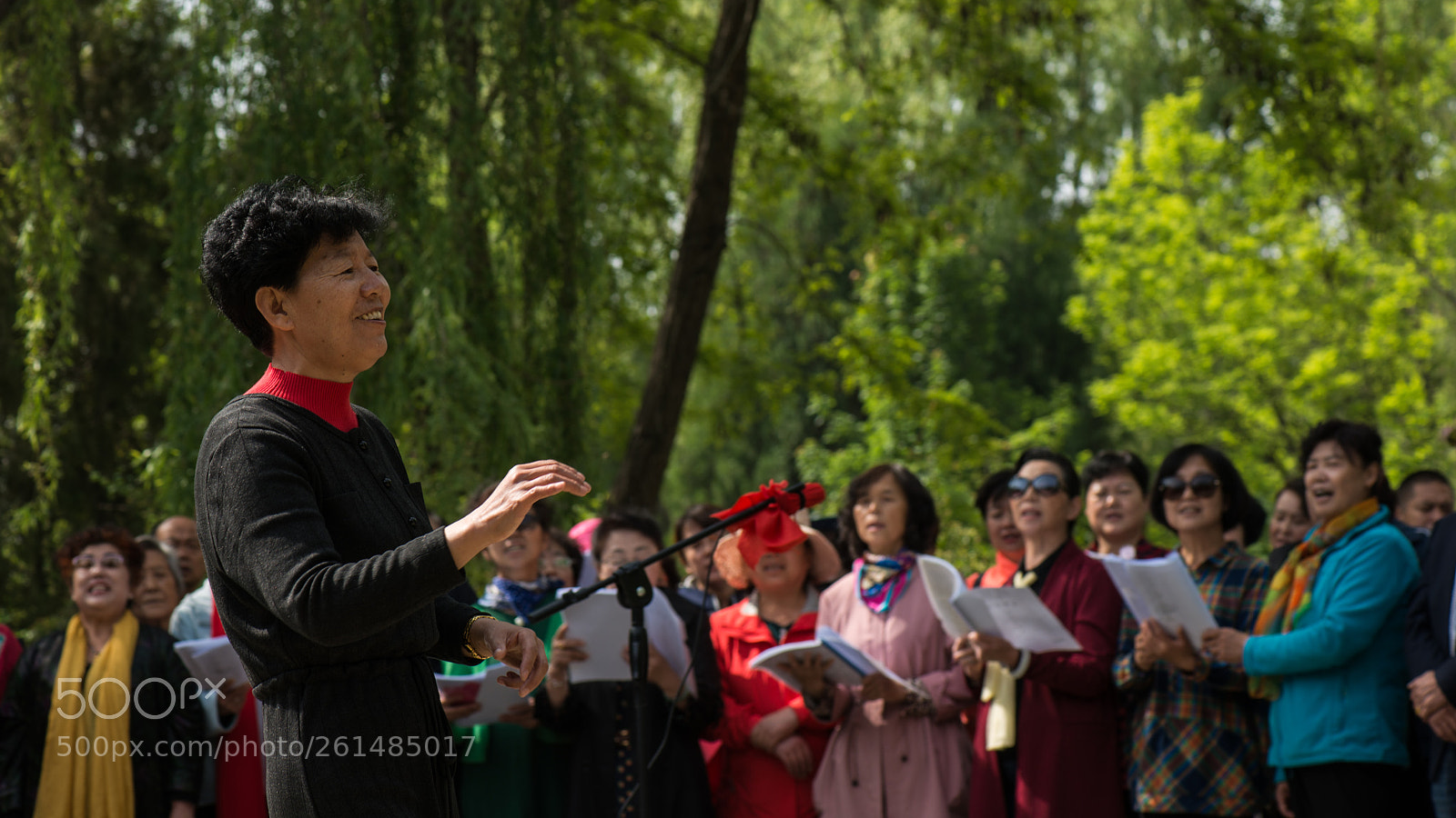 Nikon D800E sample photo. Geriatric choir photography