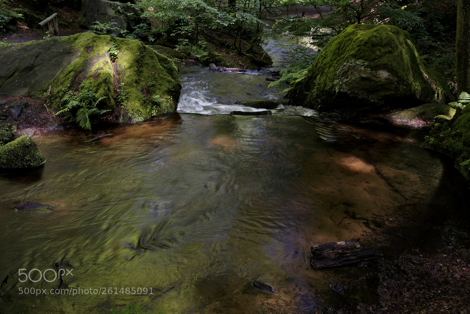 Nikon D750 sample photo. Creek45 photography