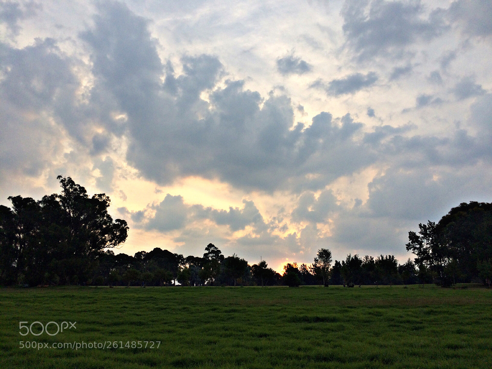 Apple iPhone 5s sample photo. Untitled photography