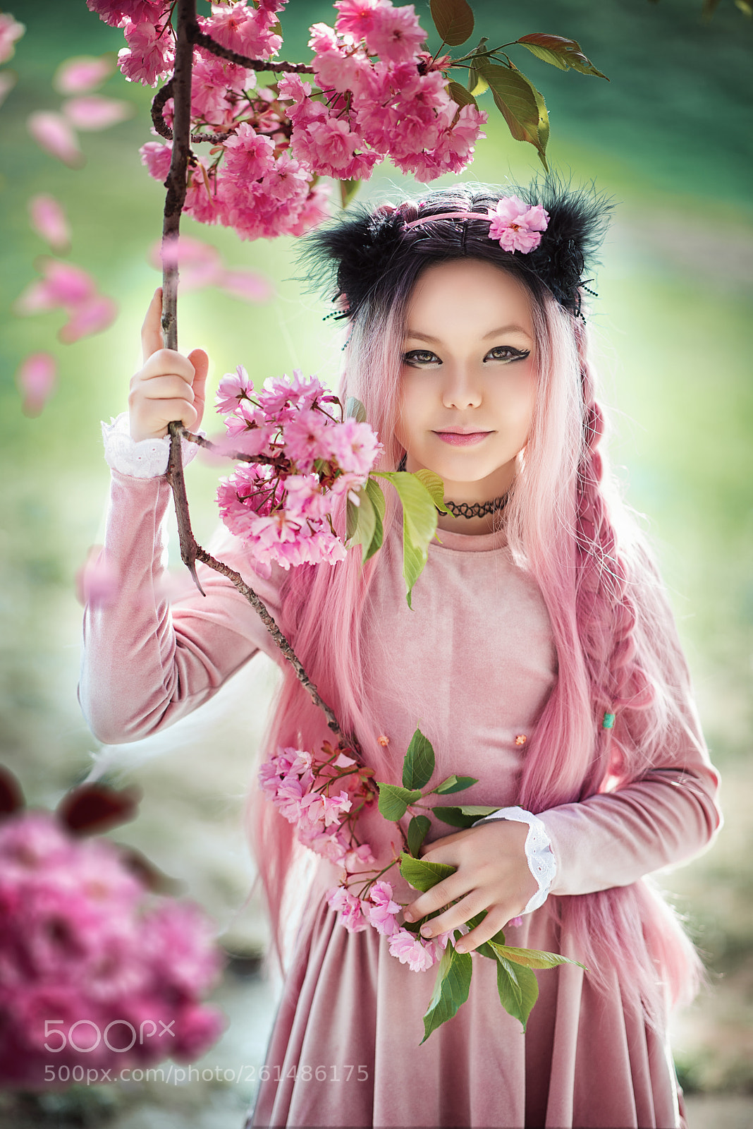Nikon D750 sample photo. Anime kids in blooming photography
