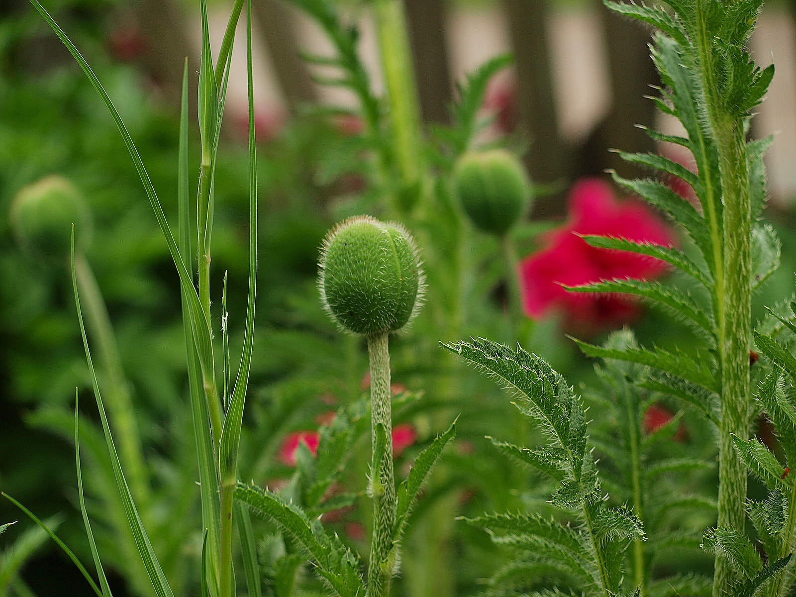 Olympus E-450 (EVOLT E-450) sample photo