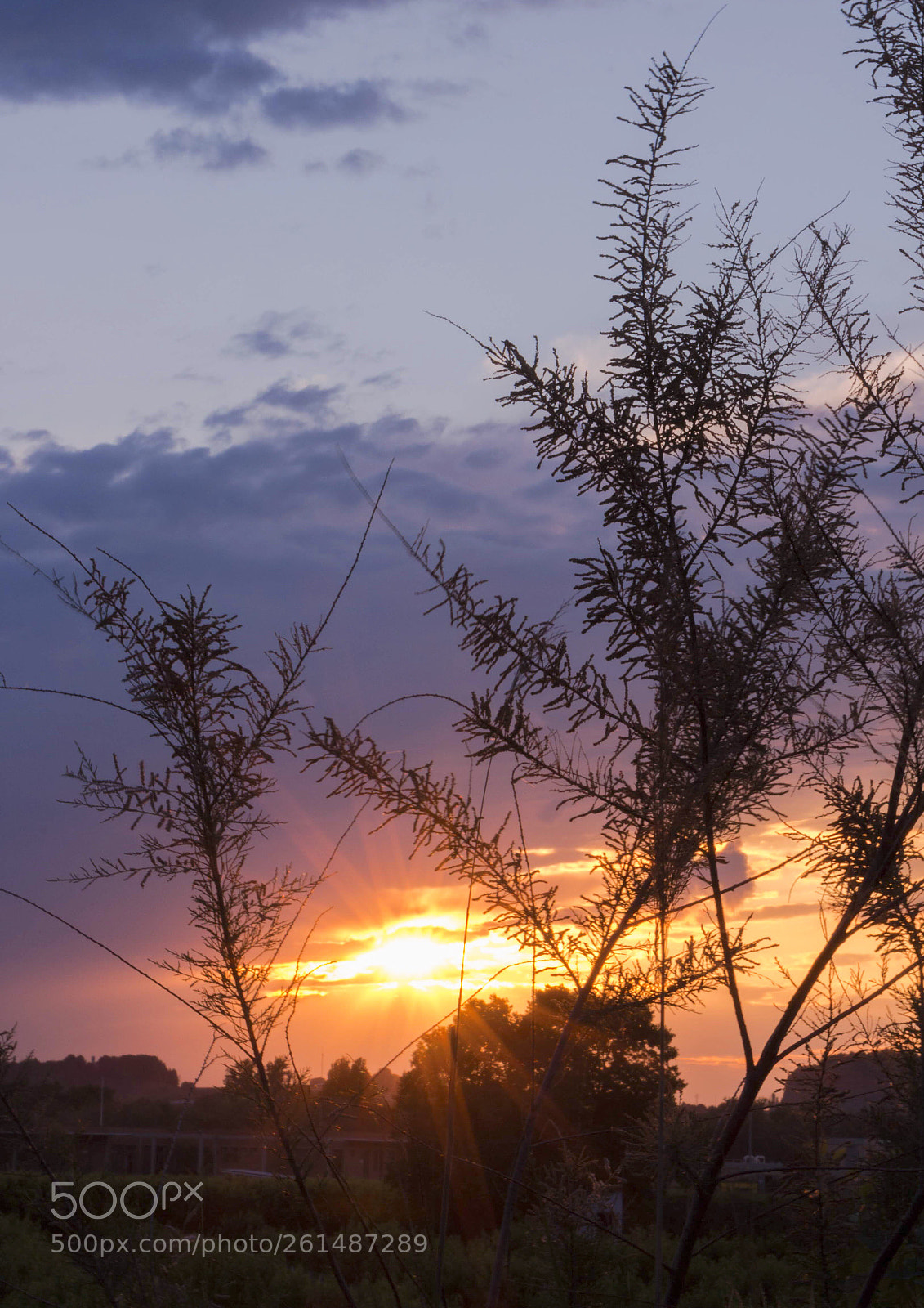 Canon EOS 700D (EOS Rebel T5i / EOS Kiss X7i) sample photo. Open you eyes and photography