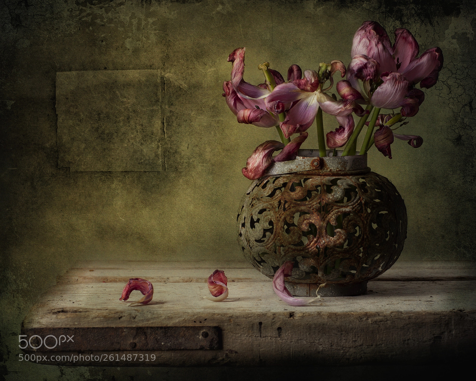 Canon EOS 5D Mark II sample photo. Mg photography