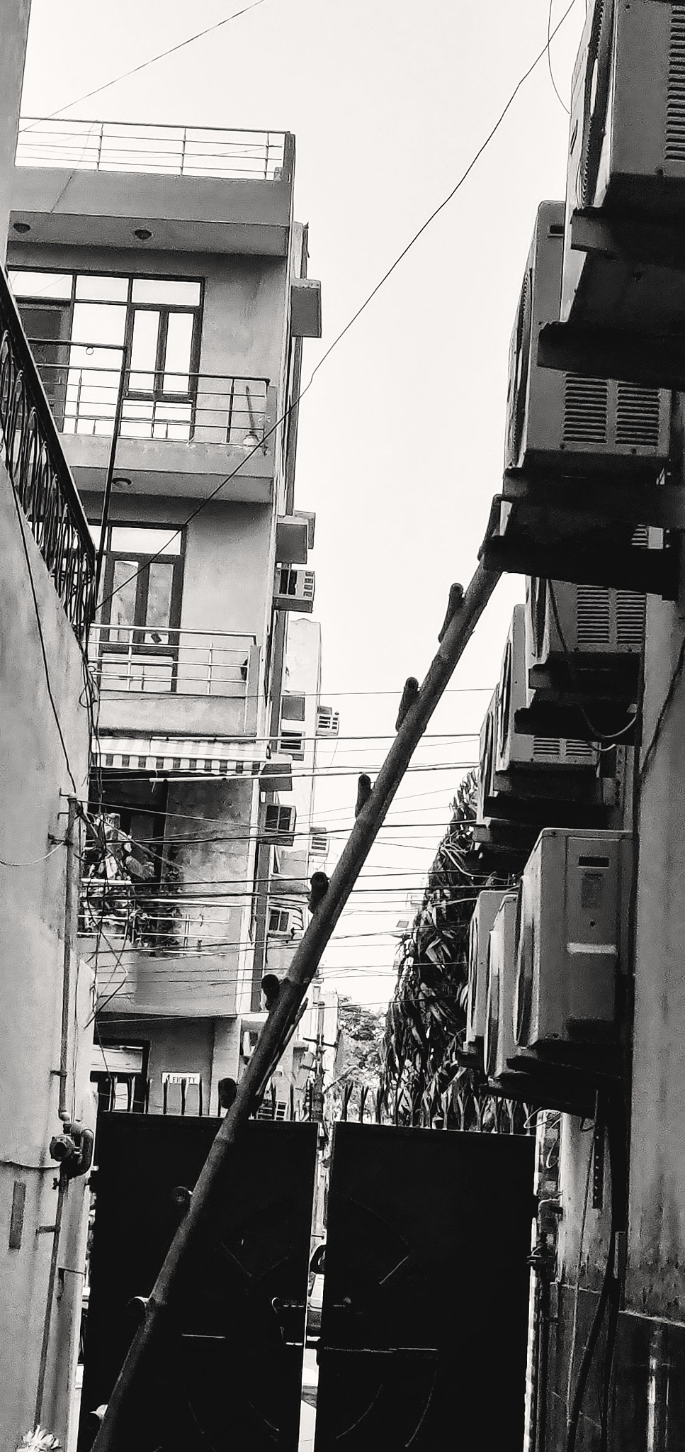 OnePlus A6000 sample photo