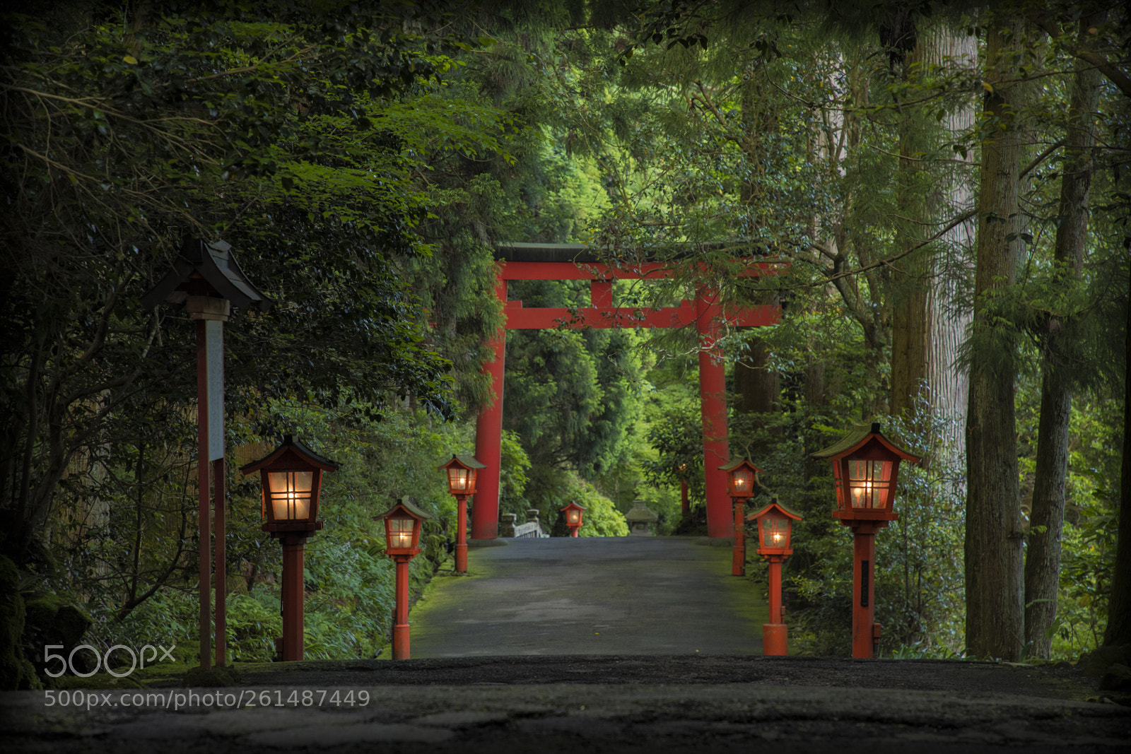 Canon EOS 5D Mark IV sample photo. Red tori + lanterns photography