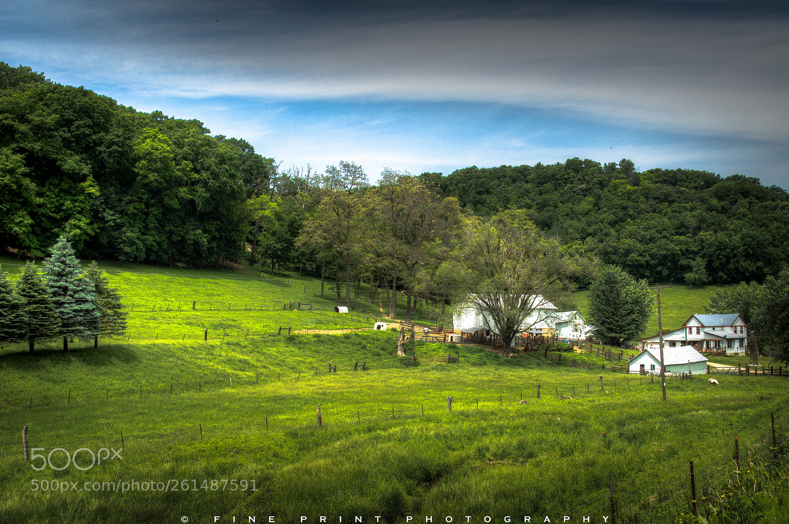 Nikon D3200 sample photo. "pastoral" (2018) photography