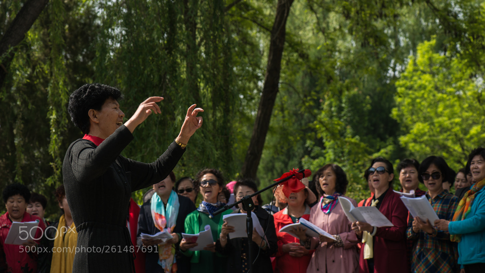Nikon D800E sample photo. Geriatric choir photography