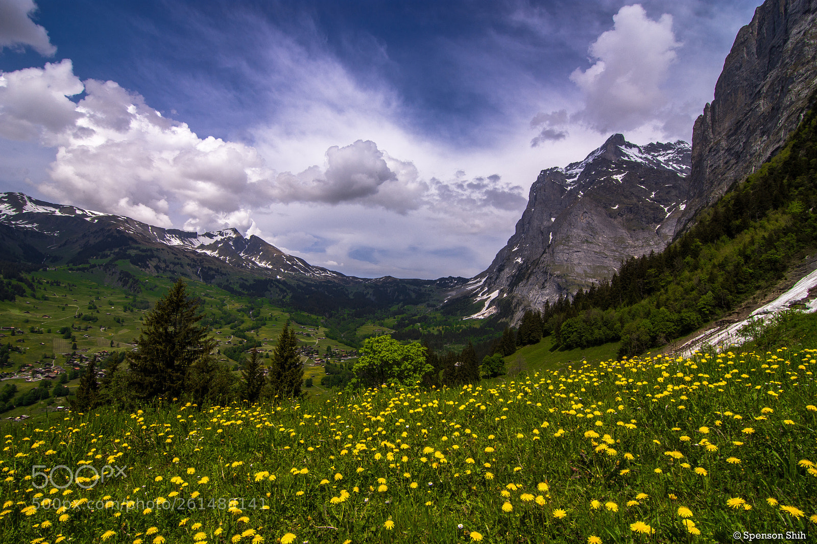 Nikon D7200 sample photo. Spring in switzerland photography
