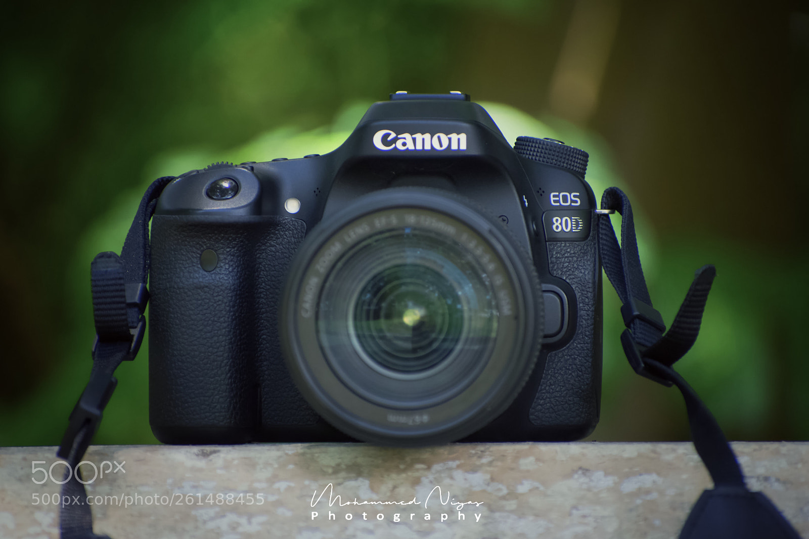 Nikon D5300 sample photo. Canon 80d photography