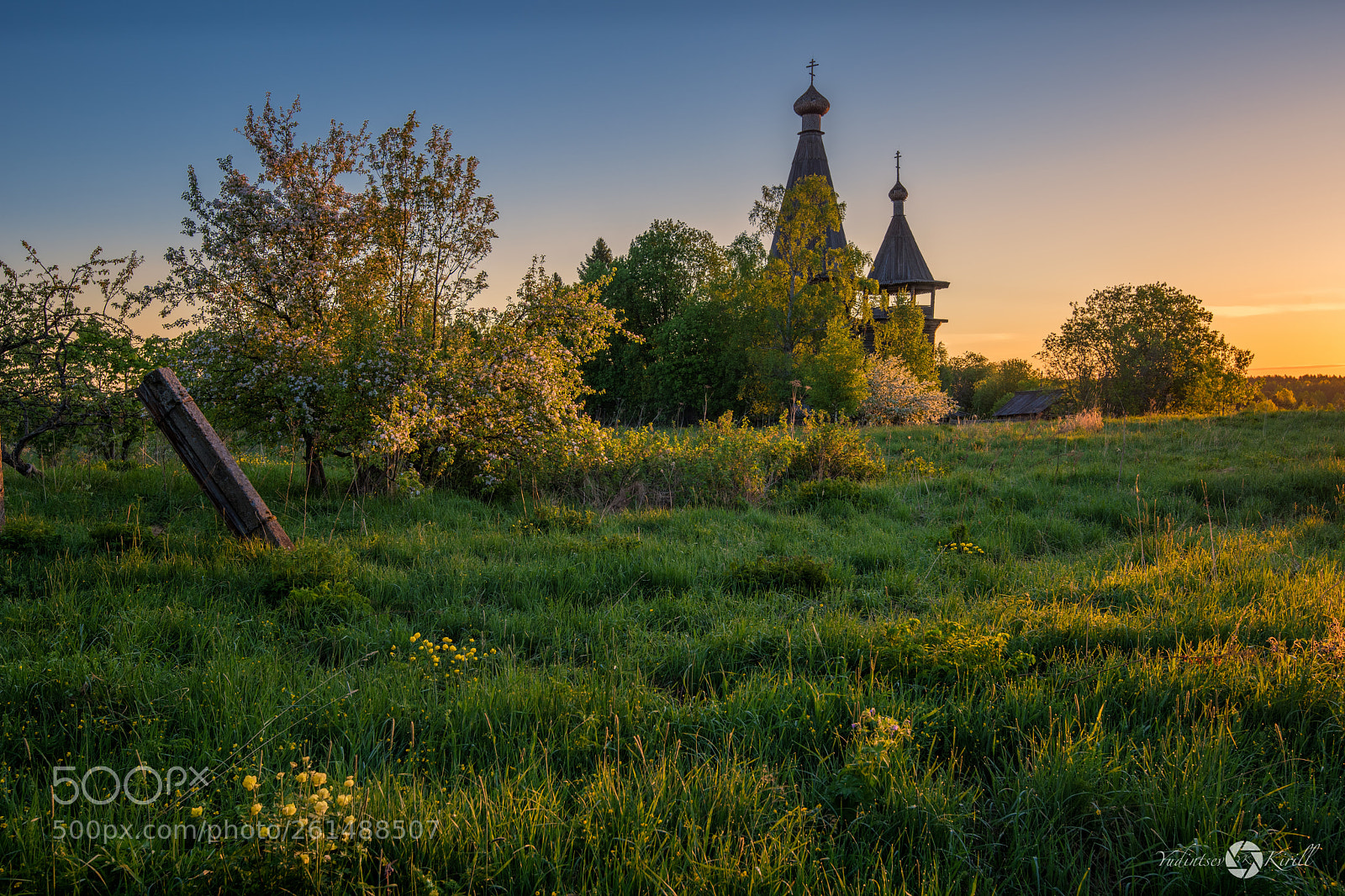 Nikon D810 sample photo. Утро на Троицу photography
