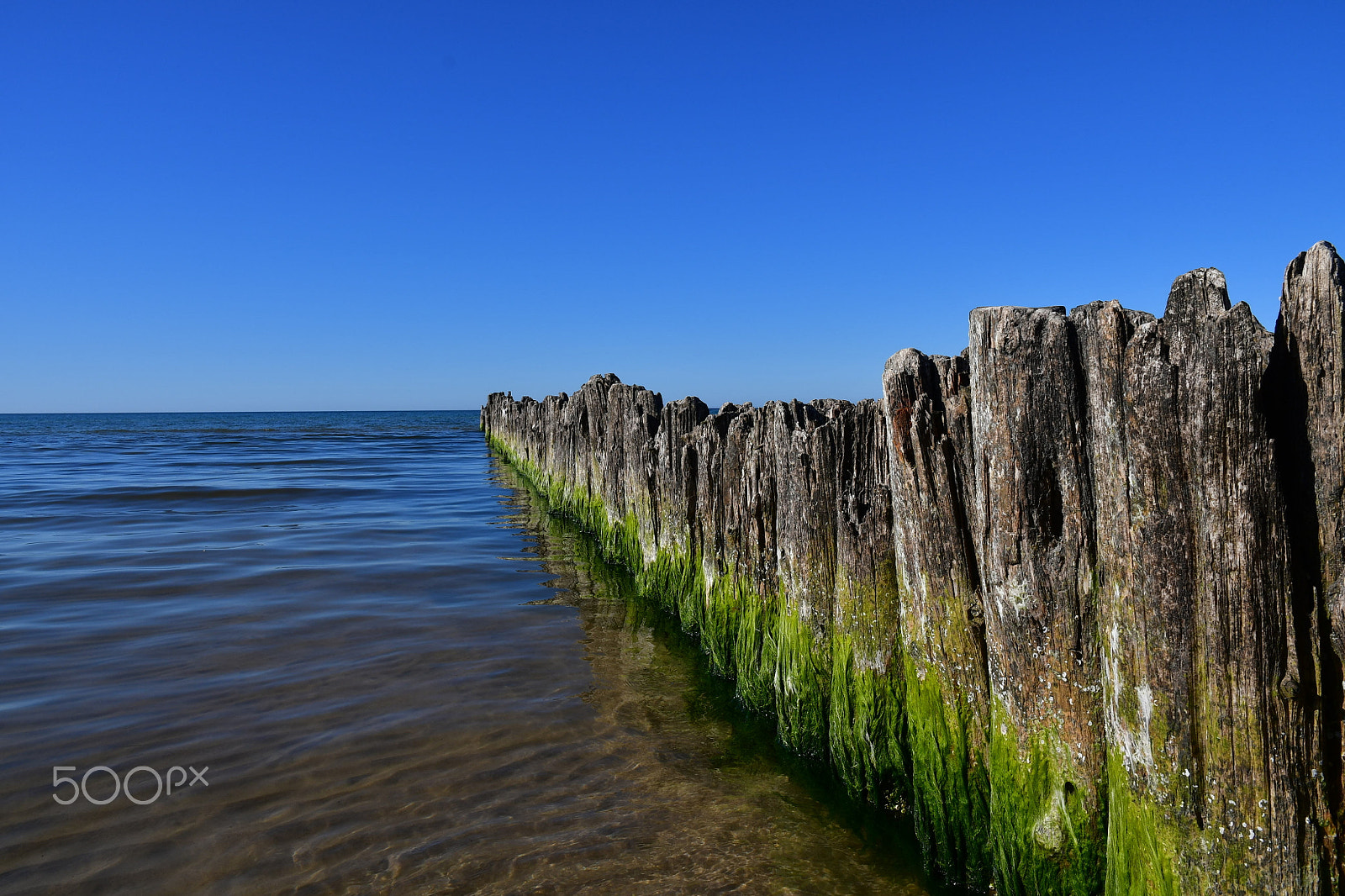 Nikon D500 sample photo. Breakwater in debki photography