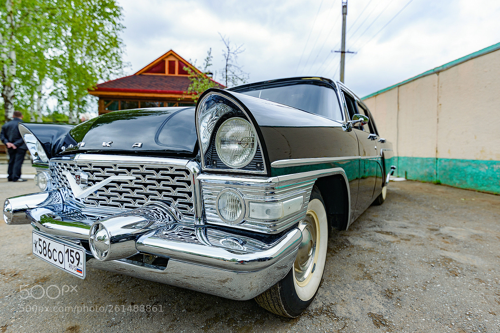 Nikon D750 sample photo. Чайка photography