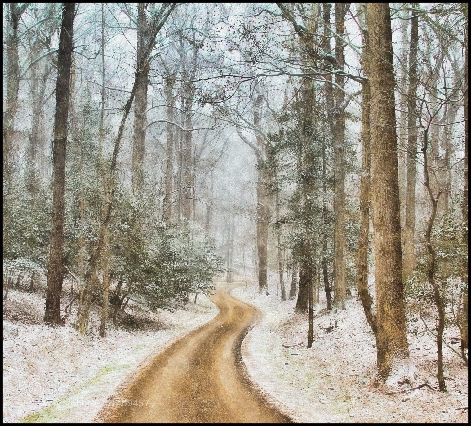 Canon EOS 7D sample photo. Where do i go photography