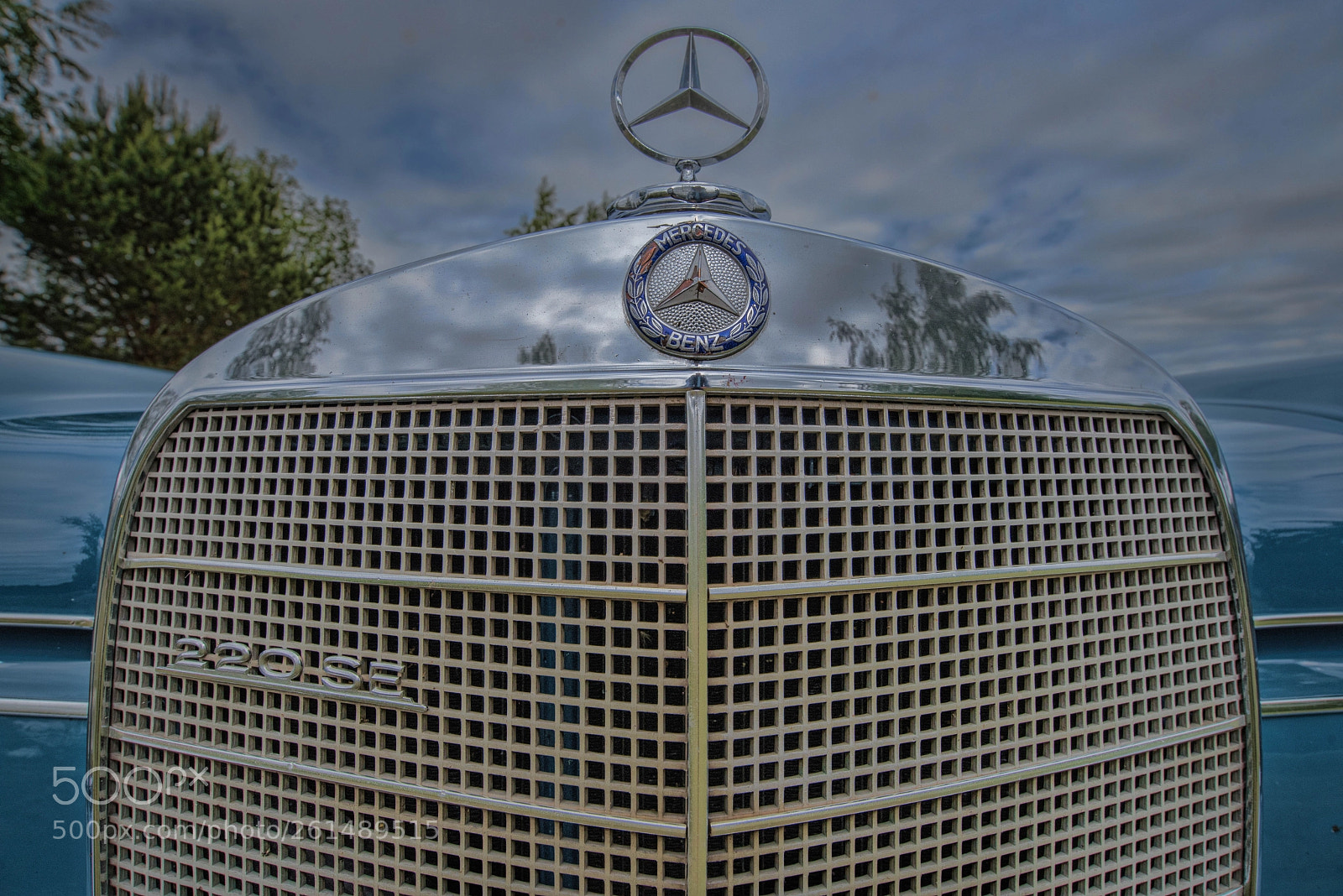 Nikon D750 sample photo. Merc 1 photography
