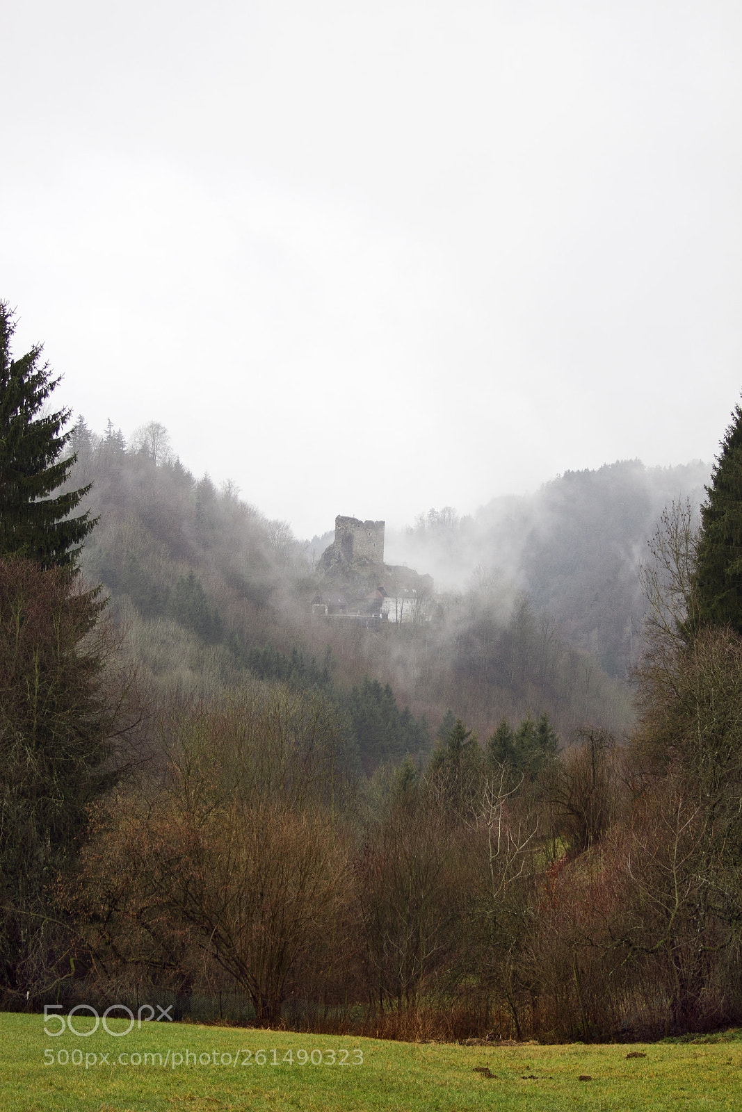 Canon EOS 60D sample photo. Burgruine lichtenhag photography