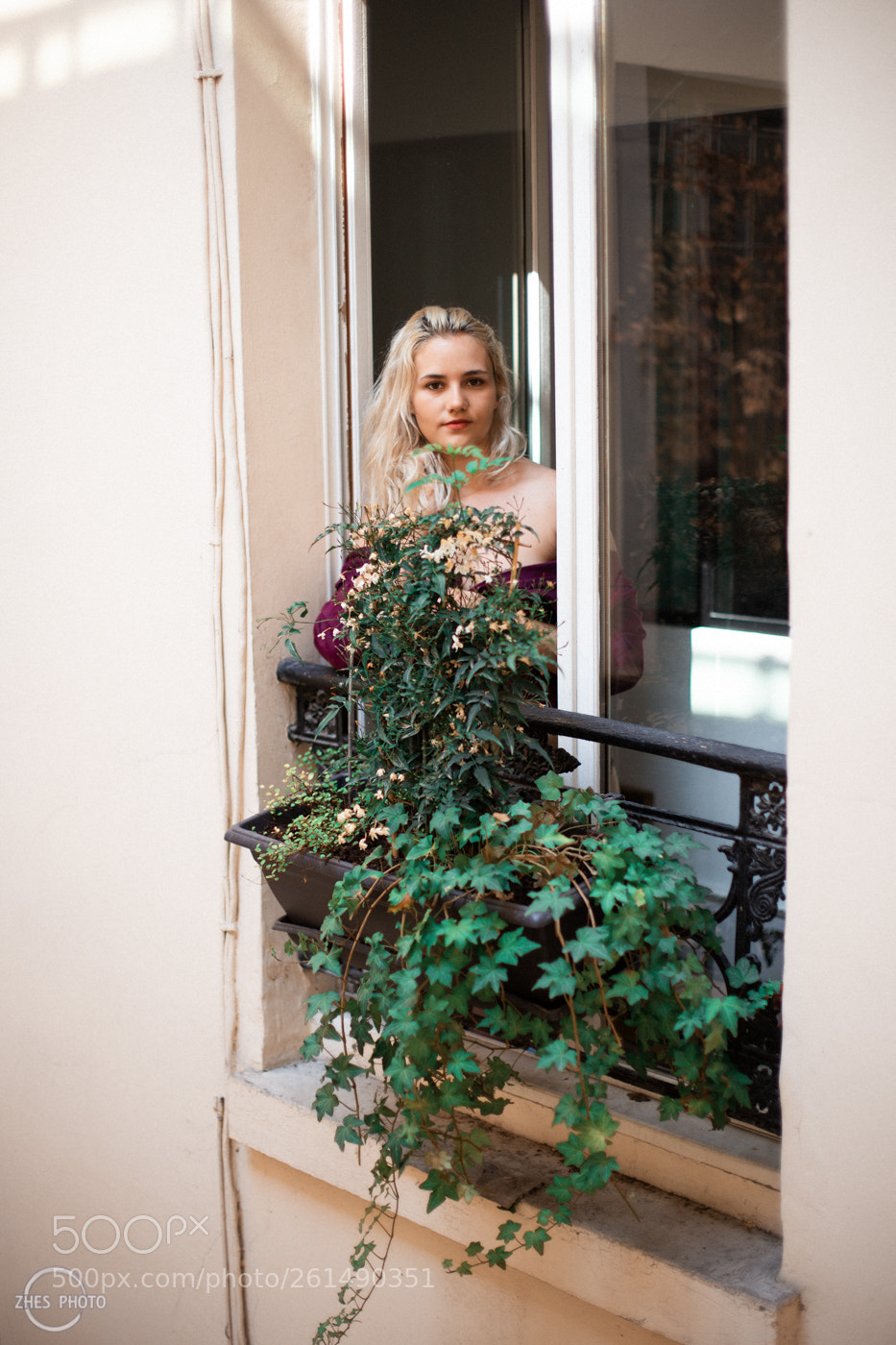 Canon EOS 6D sample photo. The parisian window photography