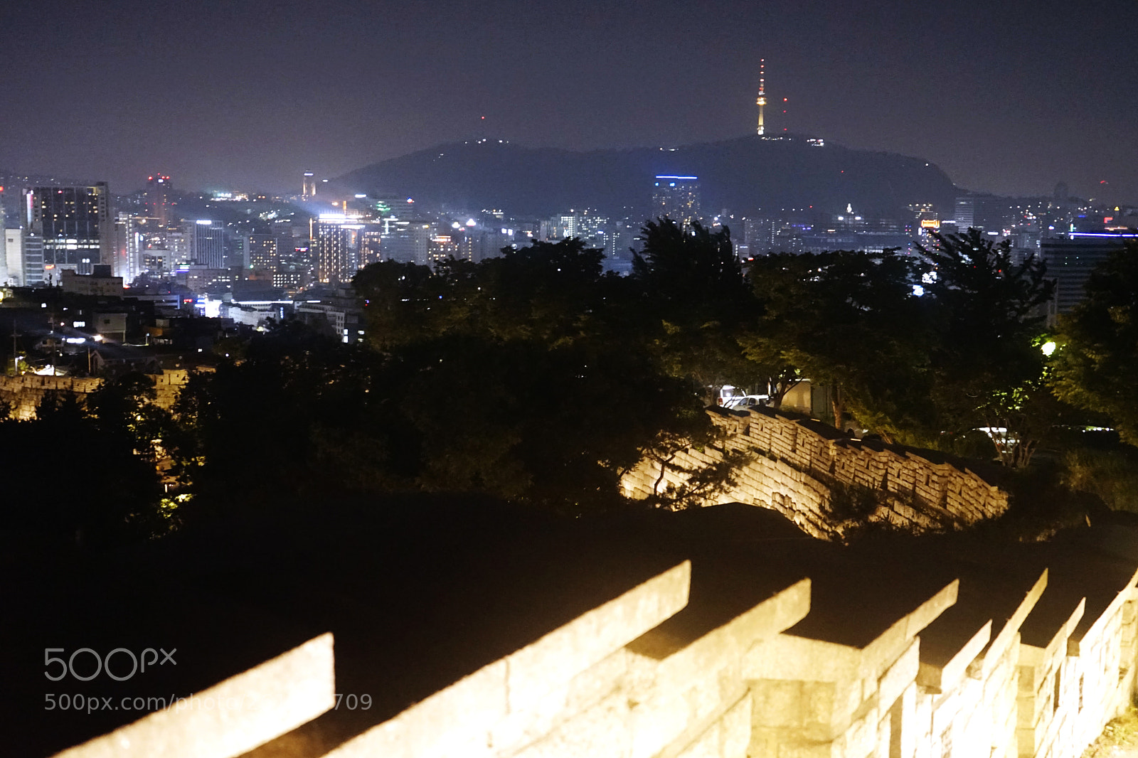 Sony a7 II sample photo. Night view of castle photography