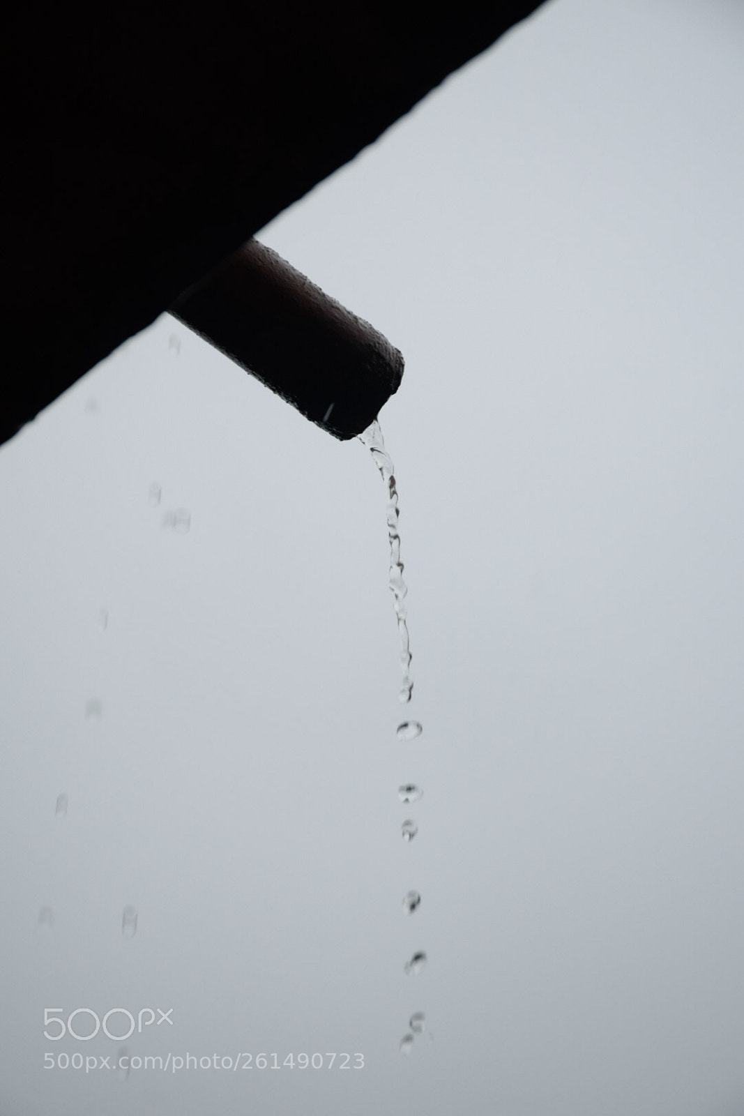 Nikon D5300 sample photo. Untitled photography