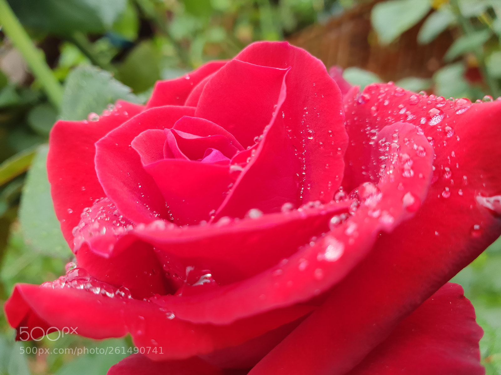 Samsung Galaxy S9+ sample photo. Untitled photography