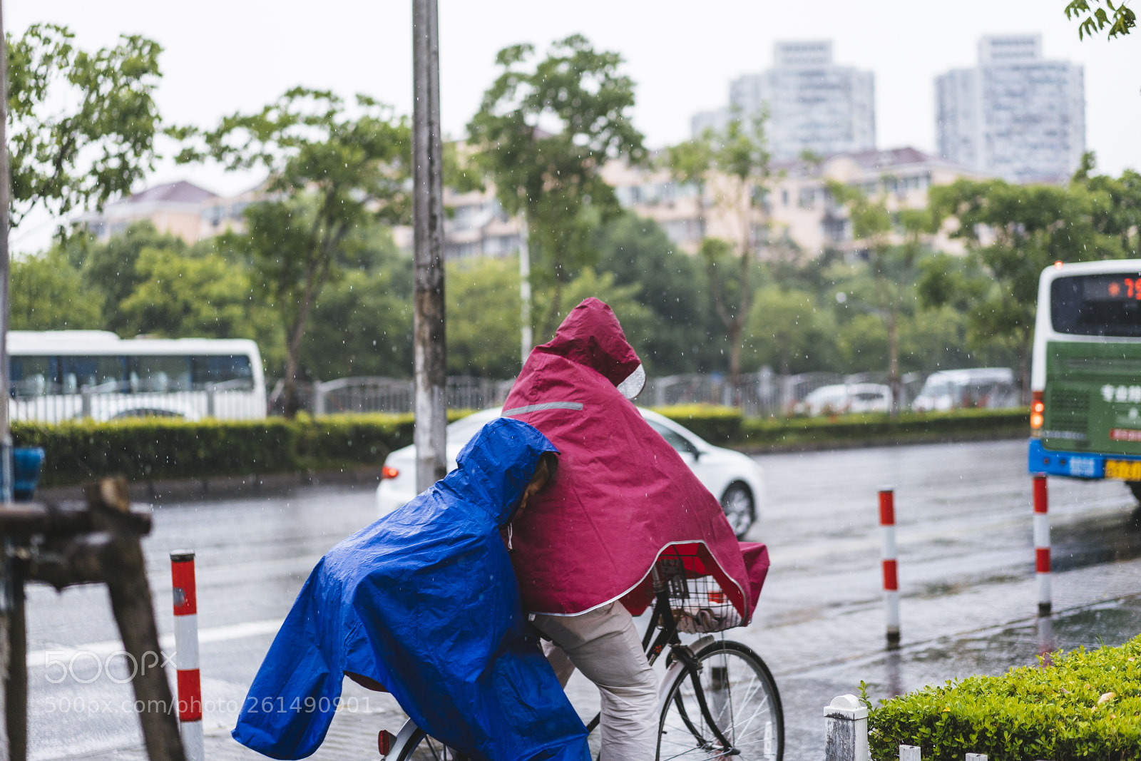 Sony a7R III sample photo. Rainy morning photography