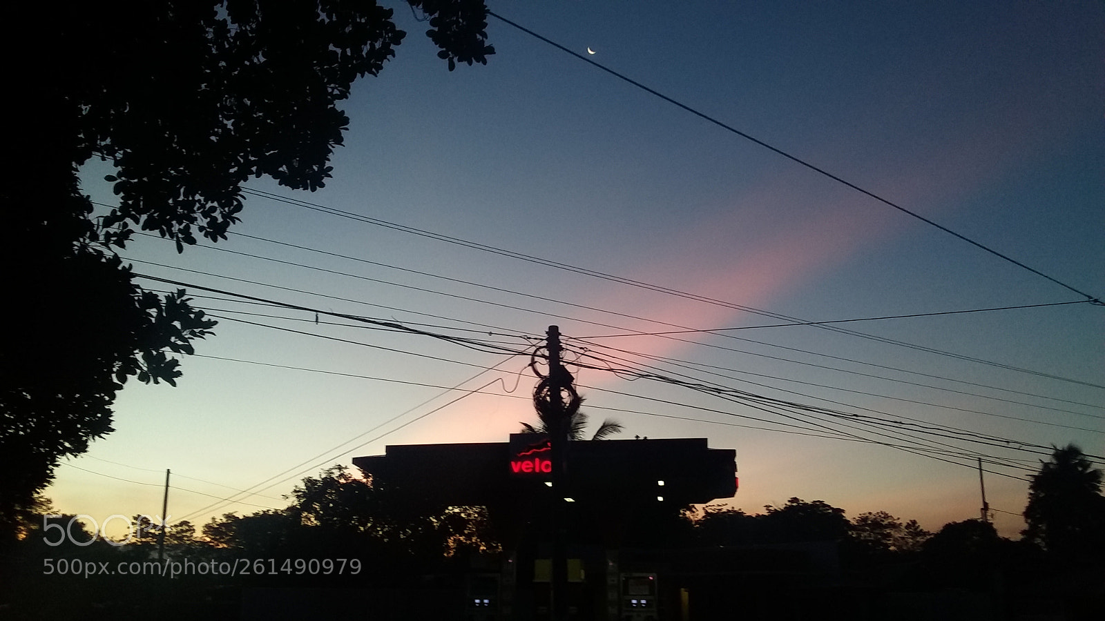 Samsung Galaxy J3(2016) sample photo. Pink photography