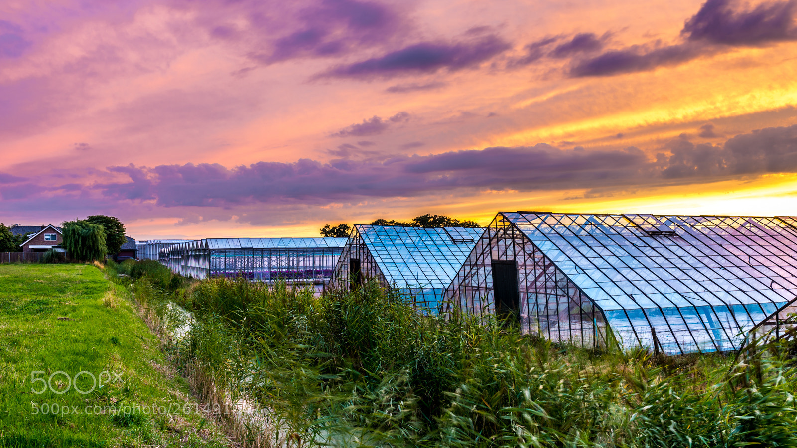 Nikon D600 sample photo. Greenhouses by sunset photography