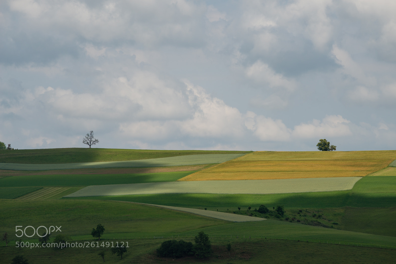 Nikon D800 sample photo. Summer photography