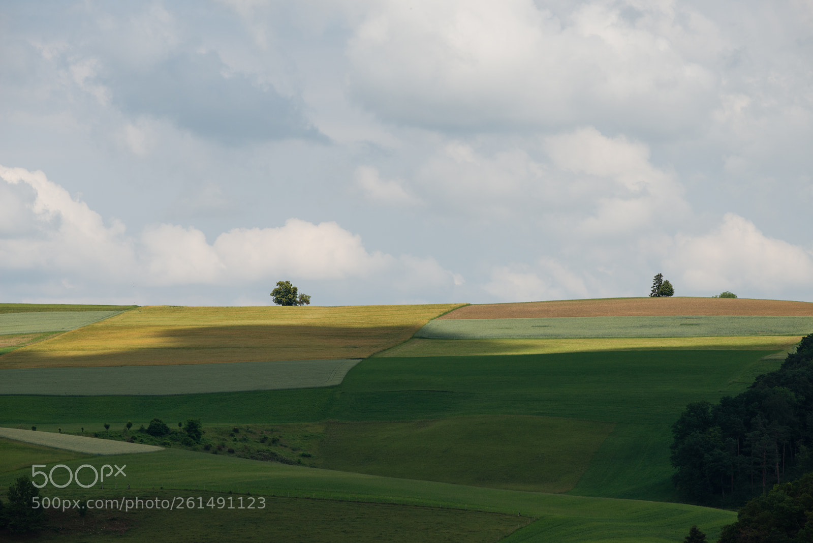 Nikon D800 sample photo. Summer photography