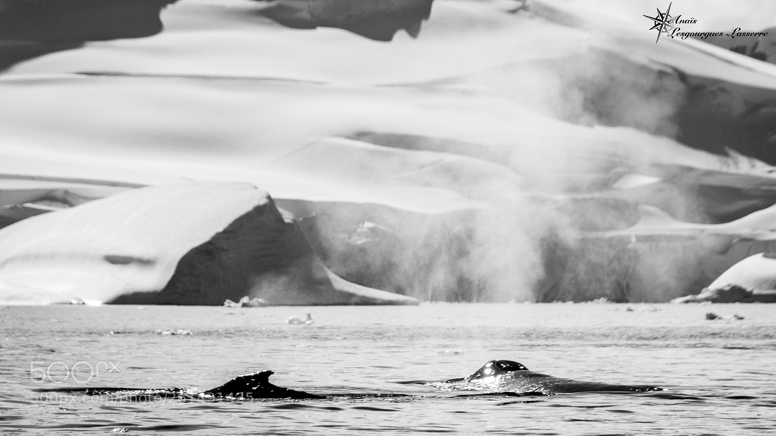 Canon EOS 80D sample photo. Antarctica photography