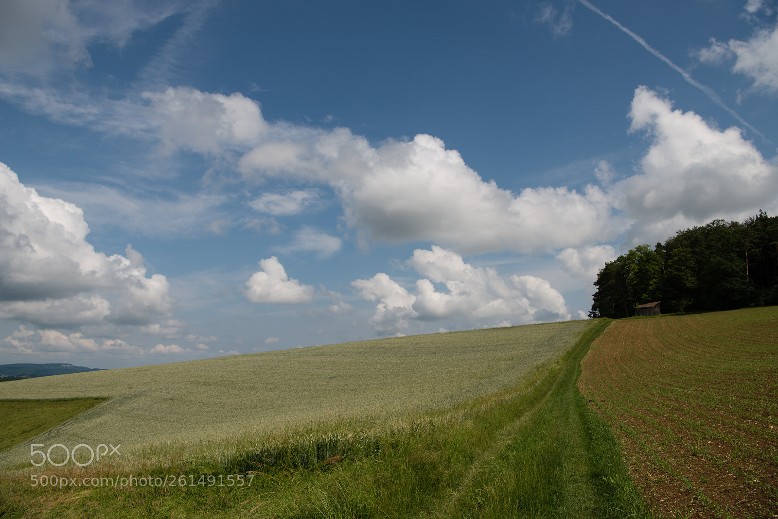 Nikon D800 sample photo. Summer photography