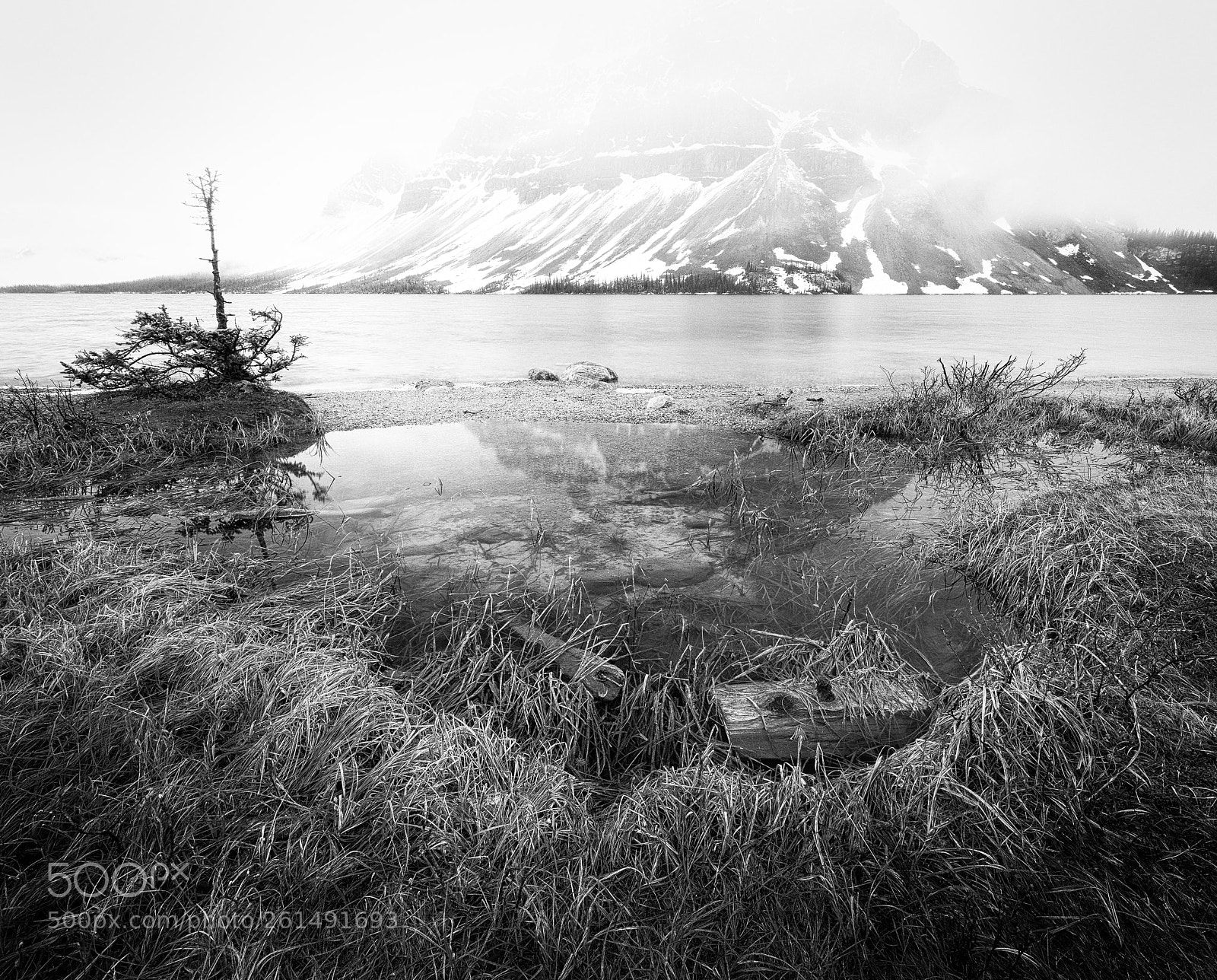 Canon EOS 5D Mark IV sample photo. Crowfoot reflection photography